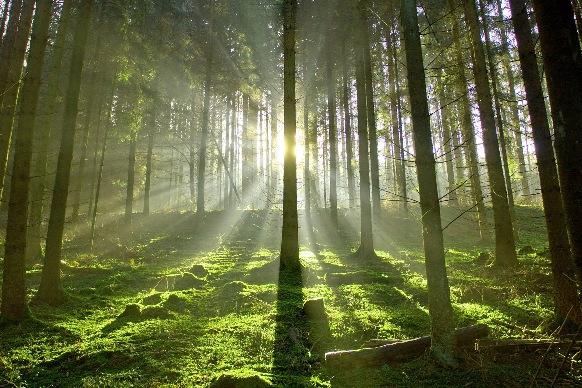 Quelle: Fotolia